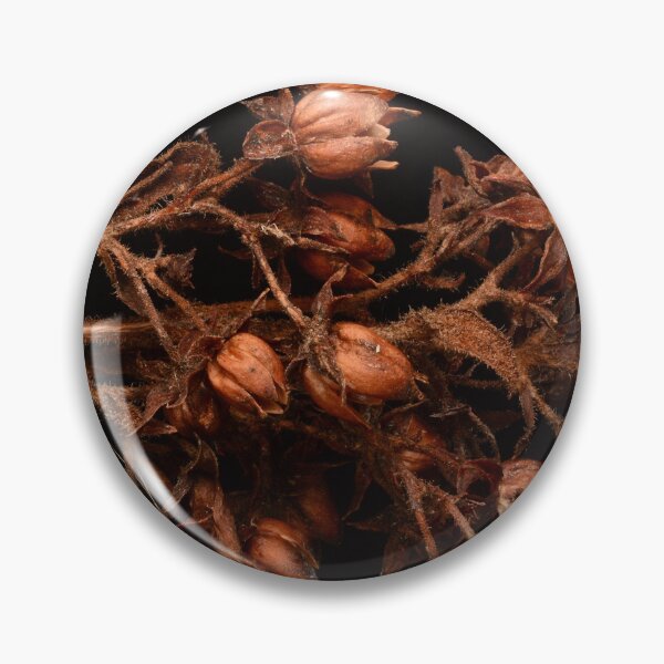 Item preview, Macro of Dried Plant Seed Pods on Black Background designed and sold by Goiko7Margarita.