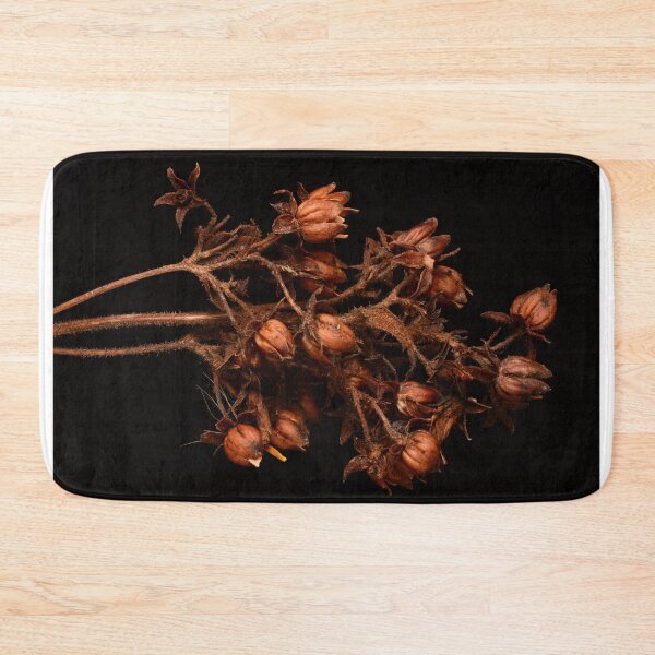 Item preview, Macro of Dried Plant Seed Pods on Black Background designed and sold by Goiko7Margarita.