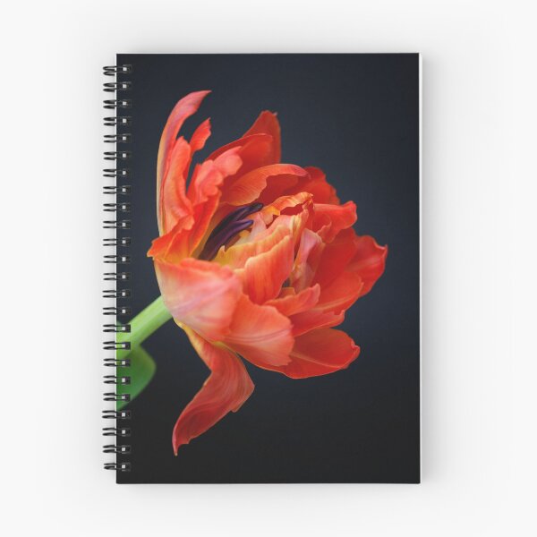 Item preview, Alert designed and sold by Kasia Design.