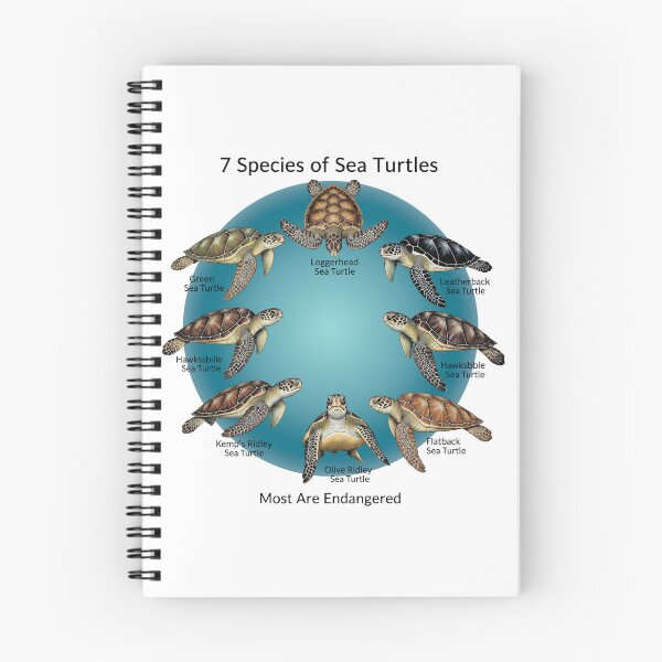 Item preview, white Seven Species of Sea Turtles Educational Chart Endangered Wildlife designed and sold by zoughlal.