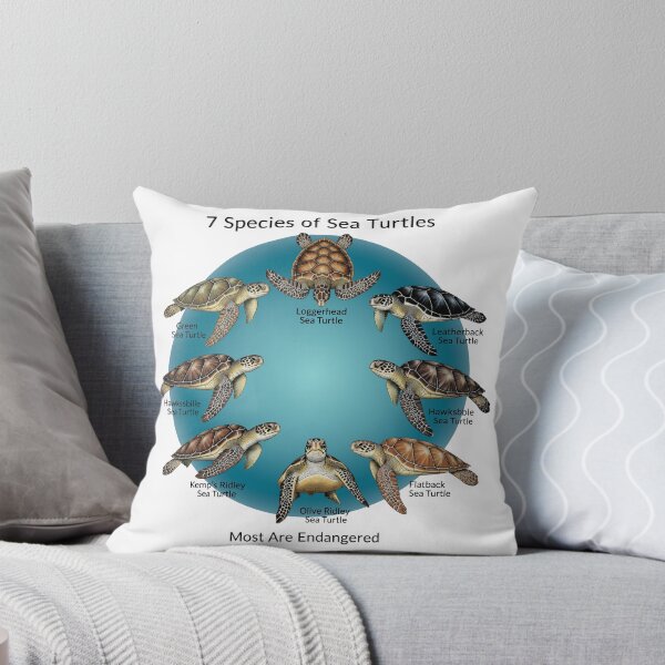 Item preview, white Seven Species of Sea Turtles Educational Chart Endangered Wildlife designed and sold by zoughlal.