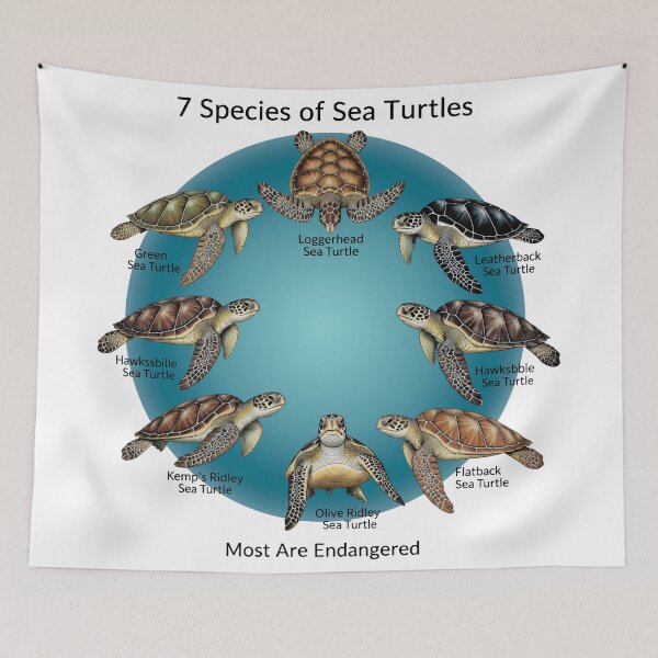 Item preview, white Seven Species of Sea Turtles Educational Chart Endangered Wildlife designed and sold by zoughlal.
