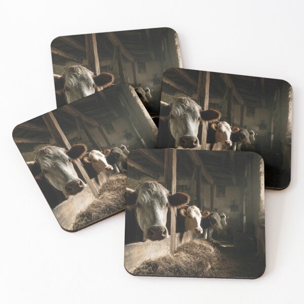 Item preview, Portrait of cows in an old barn designed and sold by Rogervdb.