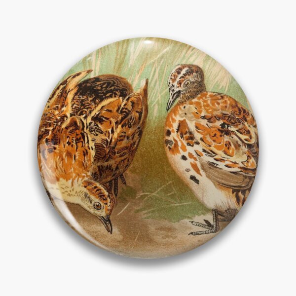 Item preview, vintage buttonquails designed and sold by okapia concolor.