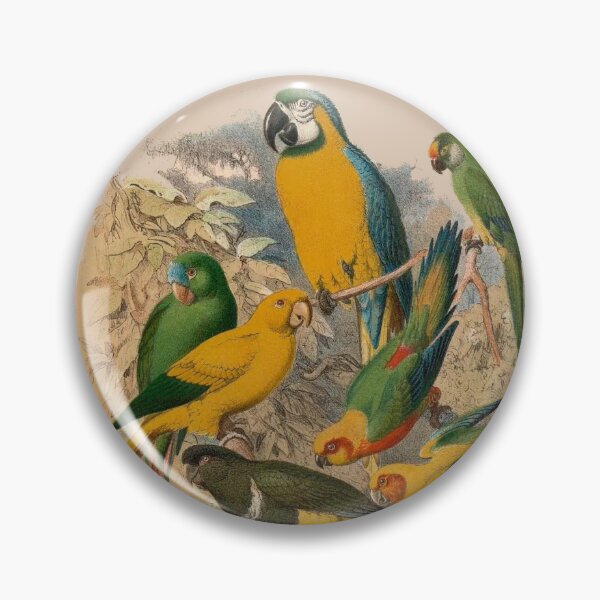 Item preview, vintage macaws designed and sold by okapia concolor.