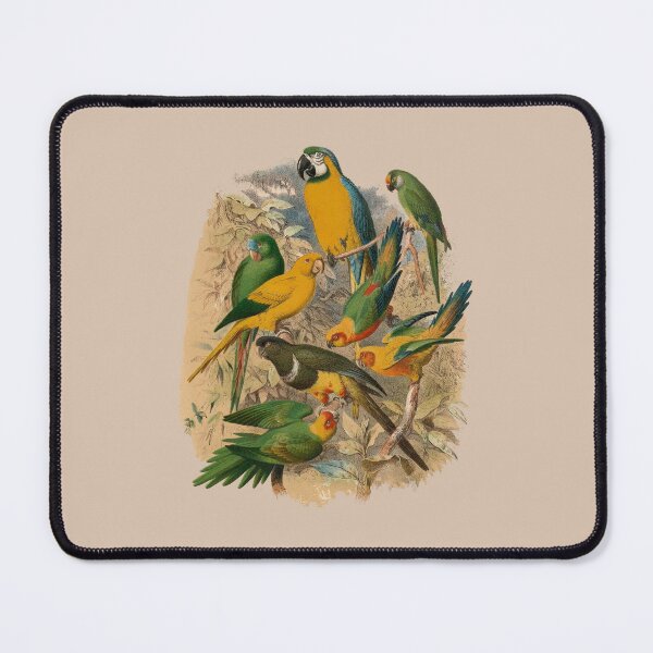 Item preview, vintage macaws designed and sold by okapia concolor.