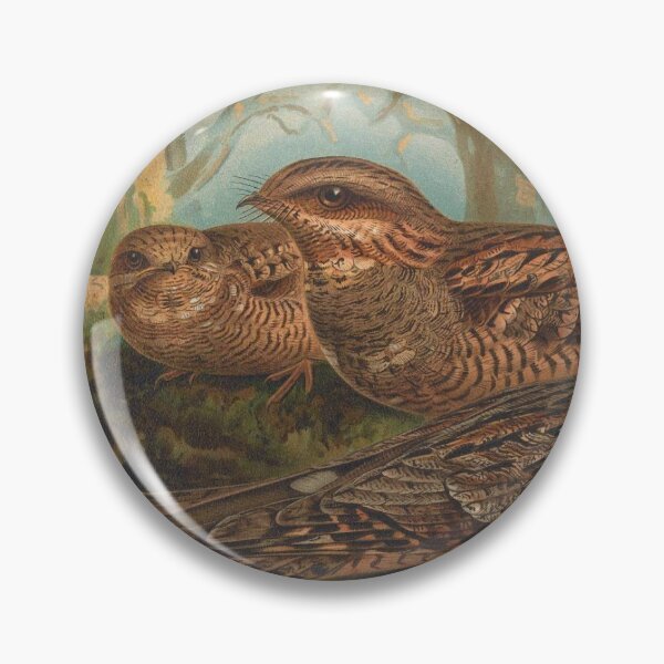Item preview, vintage nightjars designed and sold by okapia concolor.