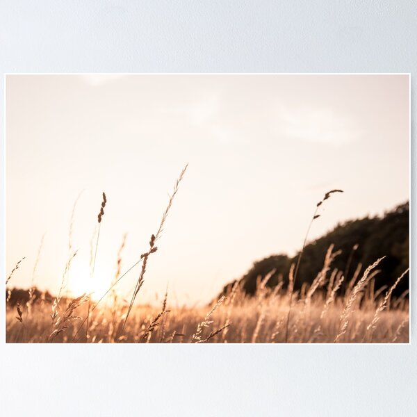 Item preview, golden meadow light designed and sold by Raggedstone.