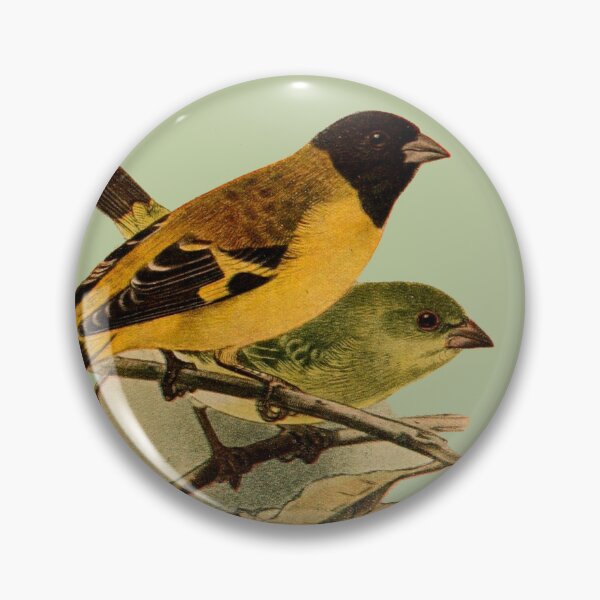 Item preview, vintage hooded siskin designed and sold by okapia concolor.