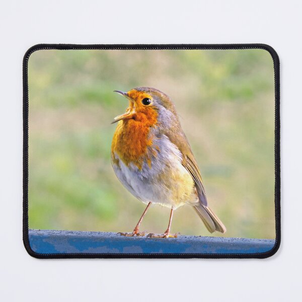 Item preview, Singing Robin designed and sold by ADCImages.