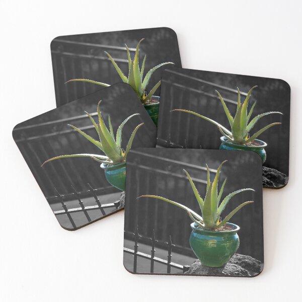 Item preview, Aloe Vera. designed and sold by Paul Pasco.