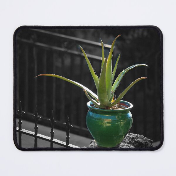 Item preview, Aloe Vera. designed and sold by Paul Pasco.
