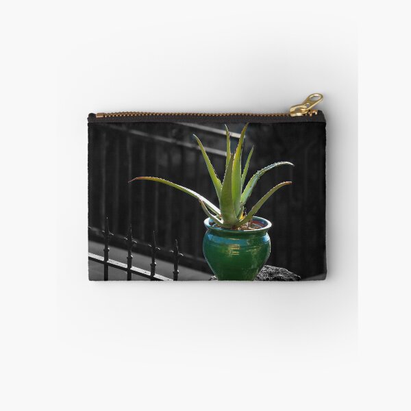 Item preview, Aloe Vera. designed and sold by Paul Pasco.