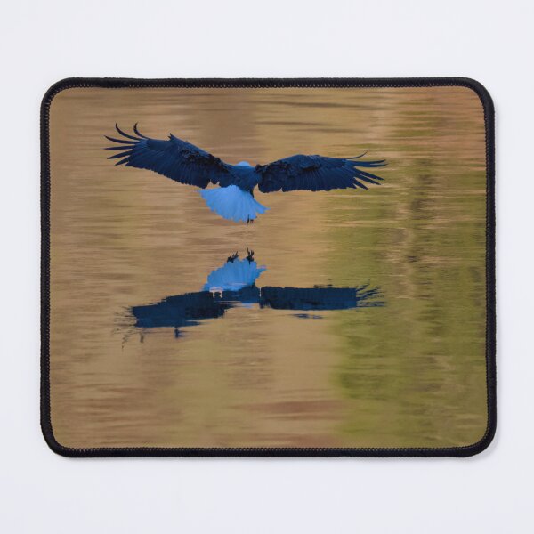 Item preview, Eagle fishing on lake during golden hour designed and sold by Cblifeisgood.