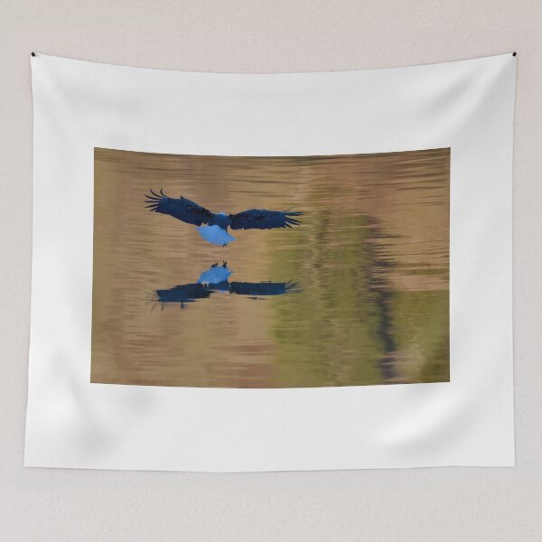 Item preview, Eagle fishing on lake during golden hour designed and sold by Cblifeisgood.