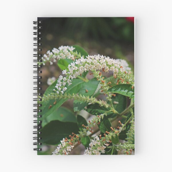 Item preview, The Magistrate- vertical designed and sold by Michiale.