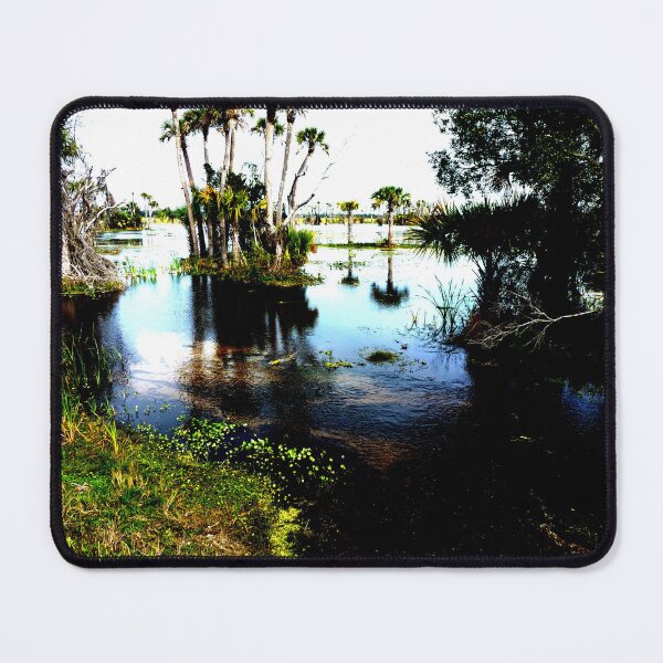 Item preview, Nature Pond, Christmas ,Florida designed and sold by DelCrane.