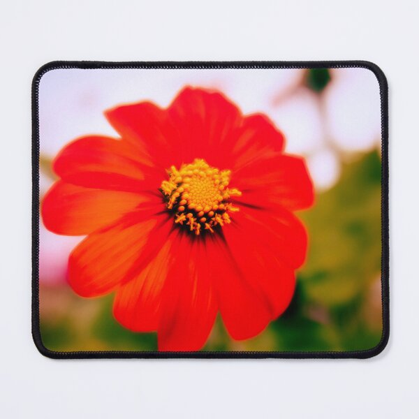 Item preview, Dreamy Vibrancy designed and sold by Jim Love.