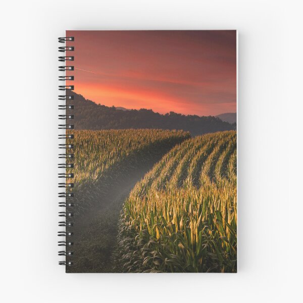Item preview, Cornfields To The Horizon  designed and sold by Jim Love.