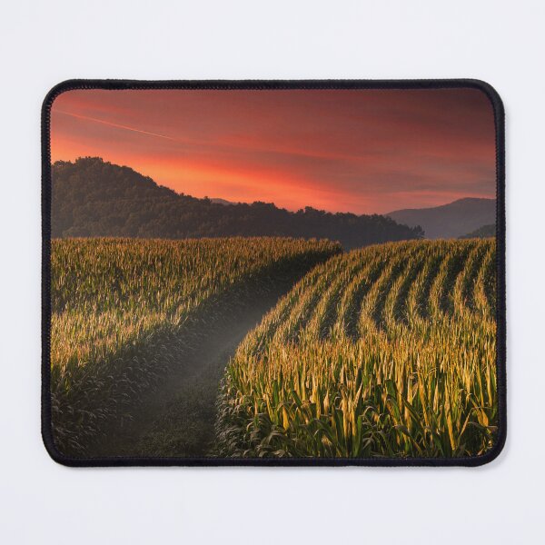 Item preview, Cornfields To The Horizon  designed and sold by Jim Love.