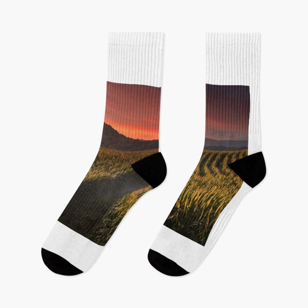 Item preview, Cornfields To The Horizon  designed and sold by Jim Love.