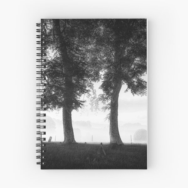 Item preview, Timeless Silence BW designed and sold by Jim Love.