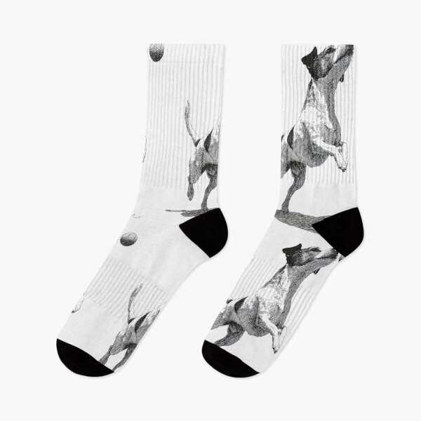 Item preview, A determined Jack Russell Terrier mid-jump as it chases a ball, Dogs in Motion designed and sold by CDC40.