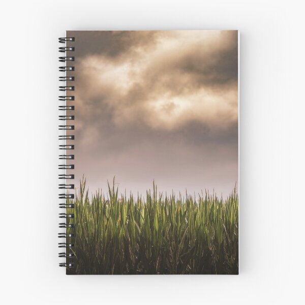 Item preview, Cornfield Dramatic designed and sold by Jim Love.