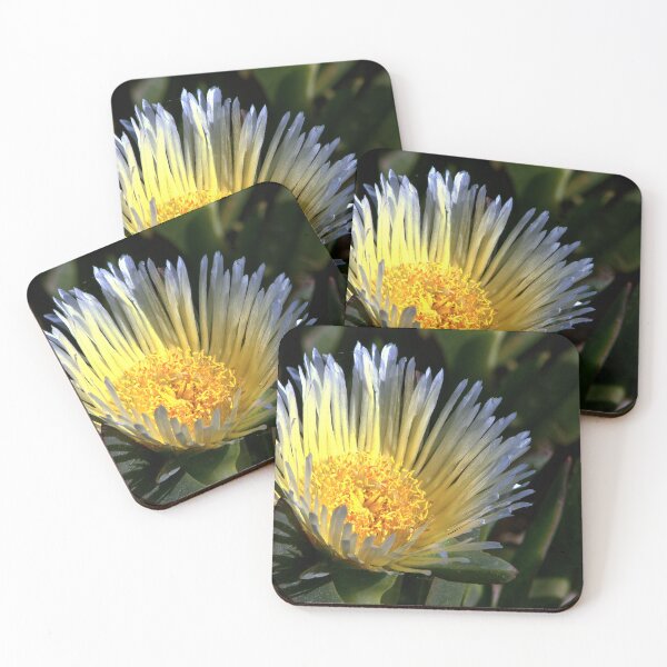 Item preview, Radiant Bloom of the California Ice Plant designed and sold by Armadillo222.