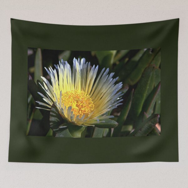 Item preview, Radiant Bloom of the California Ice Plant designed and sold by Armadillo222.