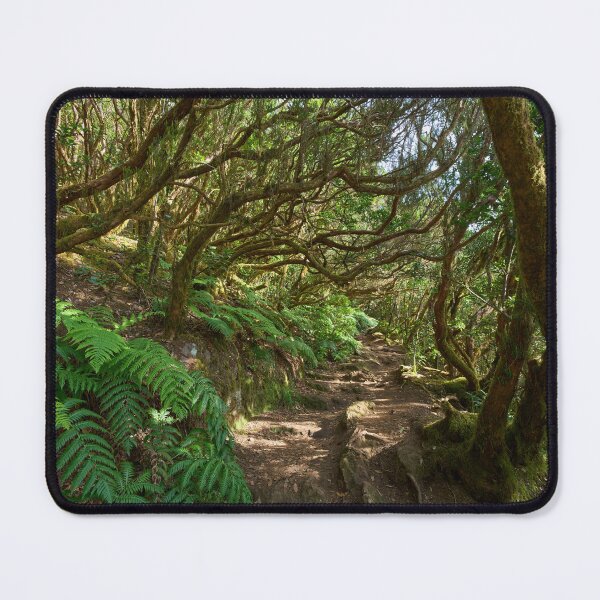 Item preview, Mossy Forest Path – Lush Green Nature Photography designed and sold by Imagerisium.