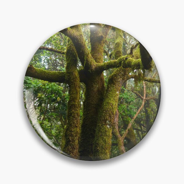 Item preview, Mossy Forest Path with Ancient Trees designed and sold by Imagerisium.