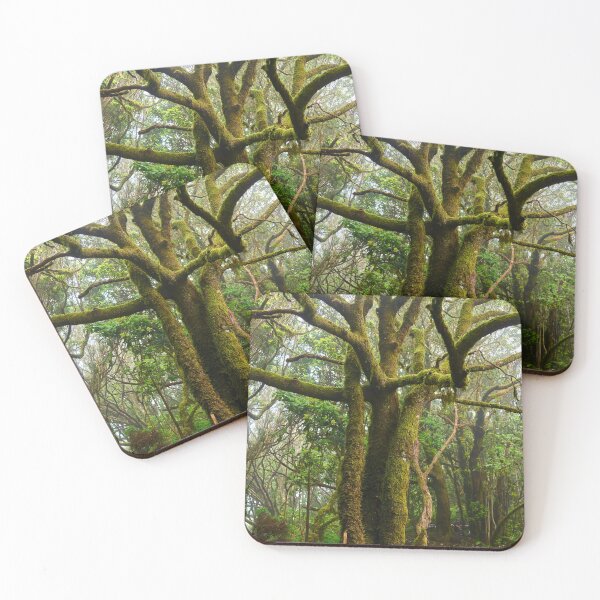 Item preview, Mossy Forest Path with Ancient Trees designed and sold by Imagerisium.