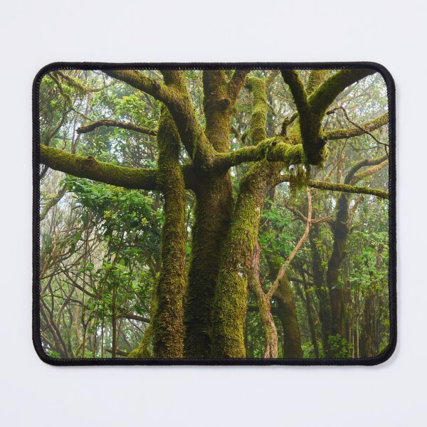 Item preview, Mossy Forest Path with Ancient Trees designed and sold by Imagerisium.
