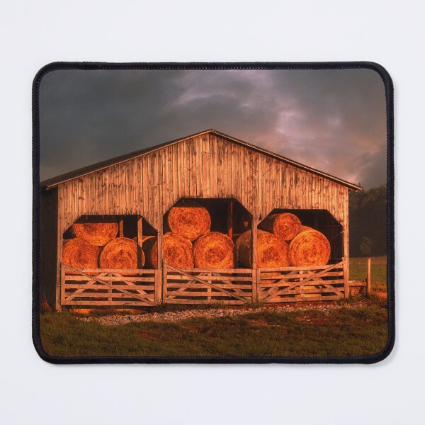 Item preview, Packed With Hay And Sunshine designed and sold by Jim Love.