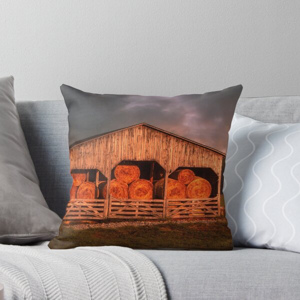 Item preview, Packed With Hay And Sunshine designed and sold by Jim Love.