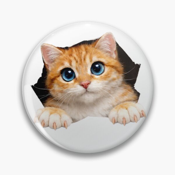 Item preview, Kitten 4 designed and sold by Li. Images of everything.