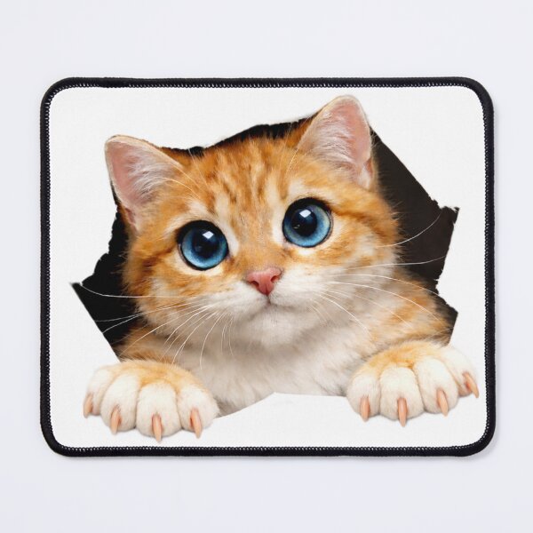 Item preview, Kitten 4 designed and sold by Li. Images of everything.