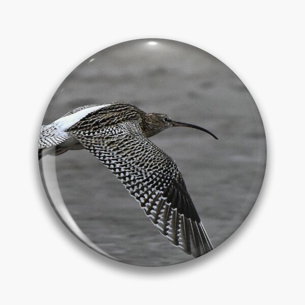 Item preview, Curlew in Flight designed and sold by Chris Monks.