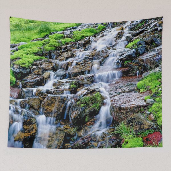Item preview,  Trickle Trickle 2 Waterfall Glacier National Park X101 designed and sold by RichFrancoCars.