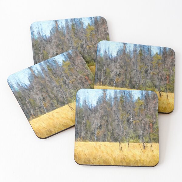 Item preview, Polebridge Glacier National Park X100 designed and sold by RichFrancoCars.