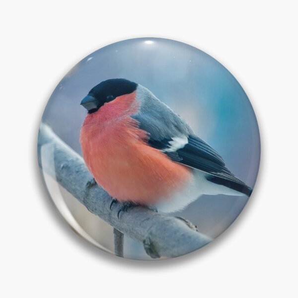 Item preview, Bird: Winter Bullfinch: Red Heat on Frosty Branch - 4K Wildlife designed and sold by Design4AllThings.
