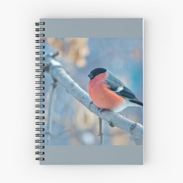 Item preview, Bird: Winter Bullfinch: Red Heat on Frosty Branch - 4K Wildlife designed and sold by Design4AllThings.