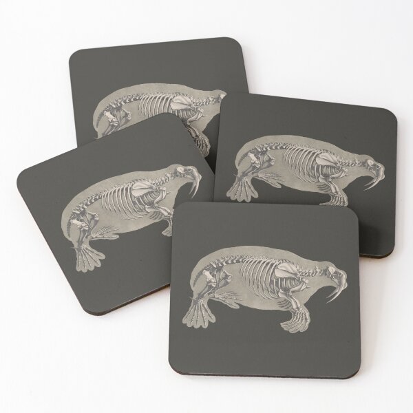 Item preview, 1800's Era Walrus Skeleton Anatomy designed and sold by JUSTIFYbyGDB.