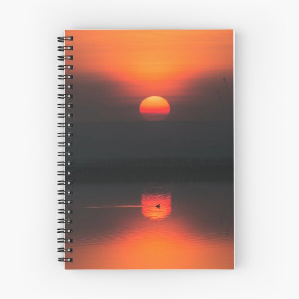 Item preview, Reflections designed and sold by Anna Ranieri.