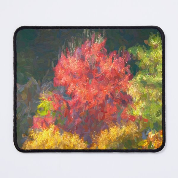 Item preview, Autumns Gold Great Smoky Mountains x301 designed and sold by RichFrancoCars.