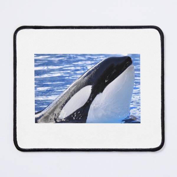 Item preview, Katina Orca designed and sold by tidaldreams.