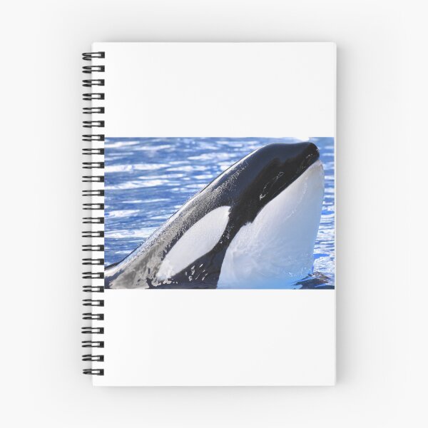 Item preview, Katina Orca designed and sold by tidaldreams.