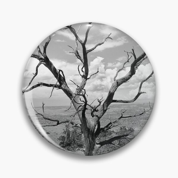 Item preview,  Paria Tree Last Stand X101 designed and sold by RichFrancoCars.