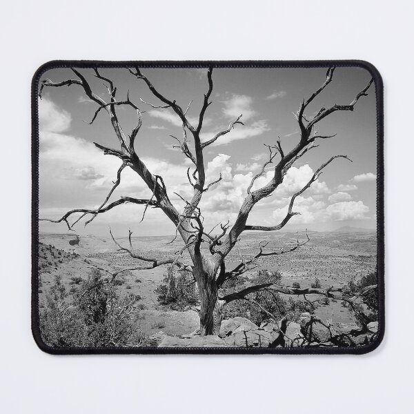 Item preview, Paria Tree Last Stand X101 designed and sold by RichFrancoCars.